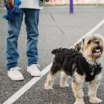 child-abduction-alert