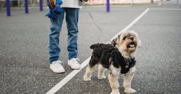 child-abduction-alert