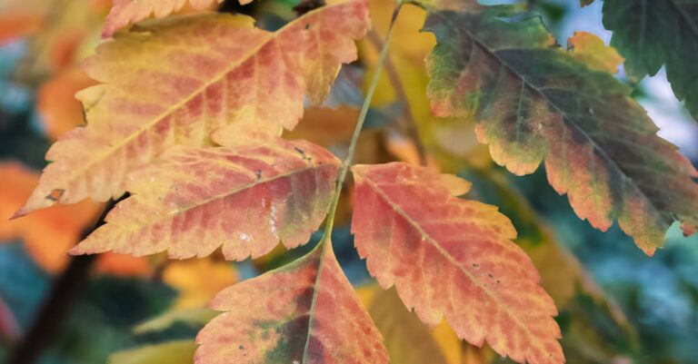 Illustration de 529 cas de désinformation climatique dans les médias français en 8 mois climate-change-fake-news