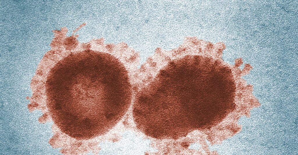 Illustration de Variant XFG : le "Frankenstein" du Covid en nette hausse coronavirus-variant-spike-protein