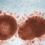 coronavirus-variant-spike-protein