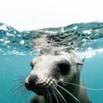 fables-de-la-fontaine-immersive