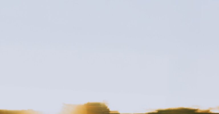 Illustration de Transition Écologique : Enjeux Sociaux et Emploi en France green-jobs-sustainable-economy