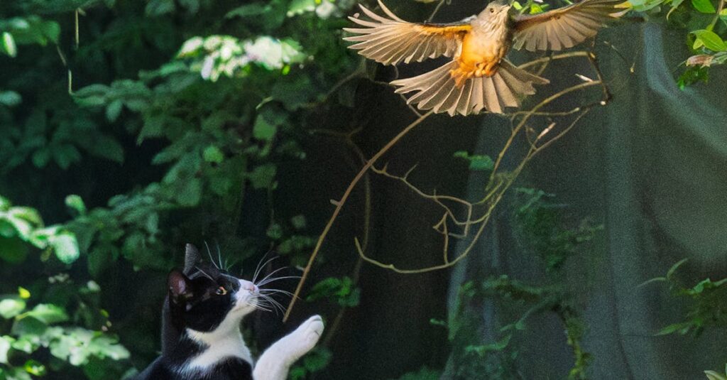 Illustration de Les chasseurs d'ouragans, une mission vitale au cœur des tempêtes hurricane-hunter-aircraft