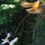 hurricane-hunter-aircraft