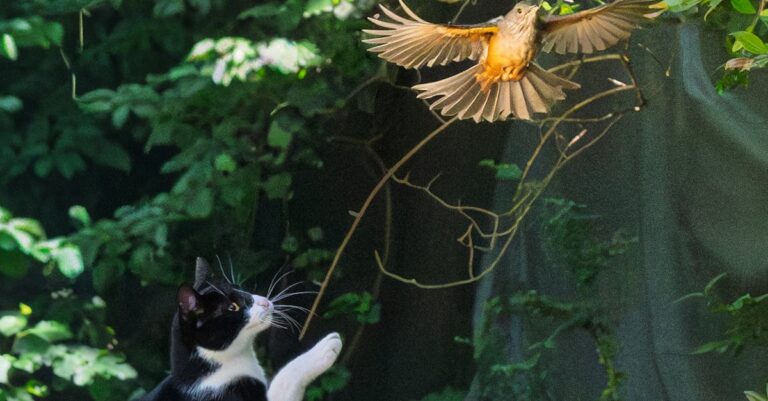Illustration de Les chasseurs d'ouragans, une mission vitale au cœur des tempêtes hurricane-hunter-aircraft