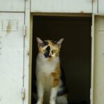 louvre-jewels-security