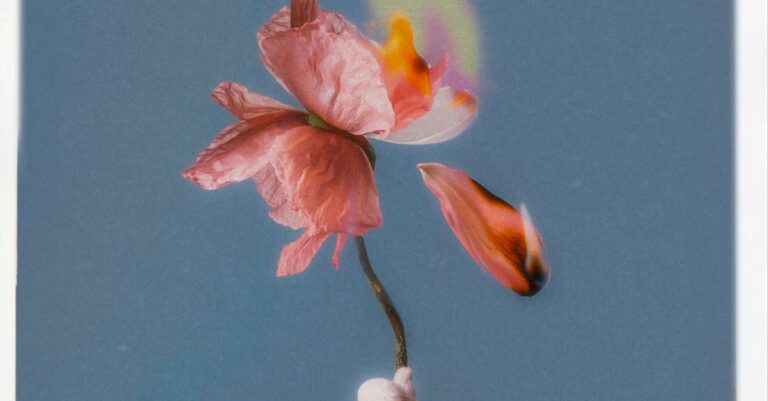 Illustration de Lytton : le village canadien face aux feux dévastateurs lytton-canada-fire