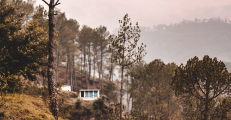 Illustration de Punition Alternative : La Randonnée au Lycée Morse de Bath (Maine) maine-high-school-hiking