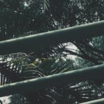 metal-organic-frameworks-structure