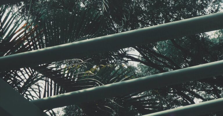 Illustration de Nobel Chimie 2025 : Révolution MOF par Kitagawa, Robson et Yaghi metal-organic-frameworks-structure