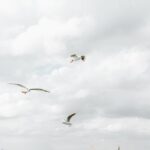 migration-refugees-boat