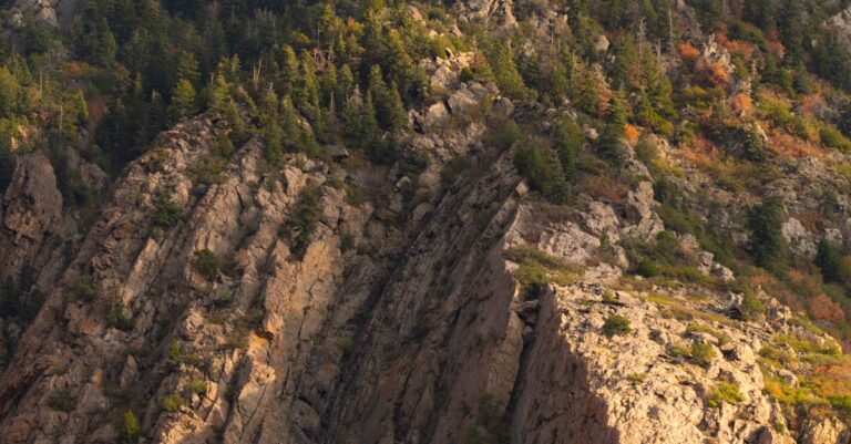 ski-alpin-julia-scheib