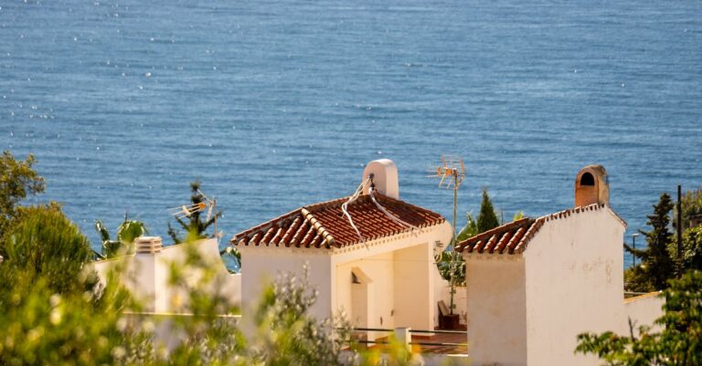 Illustration de Accord 1968 : Alger déplore le vote de l'Assemblée française Algerian-Foreign-Minister-Ahmed-Attaf