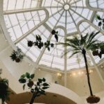 Carpentras-city-hall