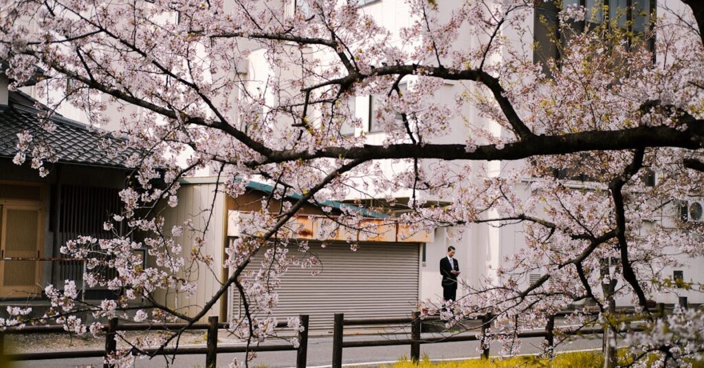 Illustration de Vingt ans après Clichy : Progrès et défis des quartiers Clichy-sous-Bois-urban-renewal
