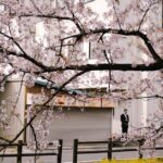 Clichy-sous-Bois-urban-renewal