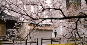 Illustration de Vingt ans après Clichy : Progrès et défis des quartiers Clichy-sous-Bois-urban-renewal