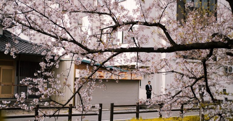 Illustration de Vingt ans après Clichy : Progrès et défis des quartiers Clichy-sous-Bois-urban-renewal