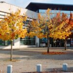 College-de-France-building