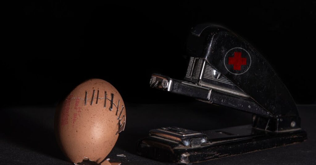 Jordan-Bardella-Moissac-egg