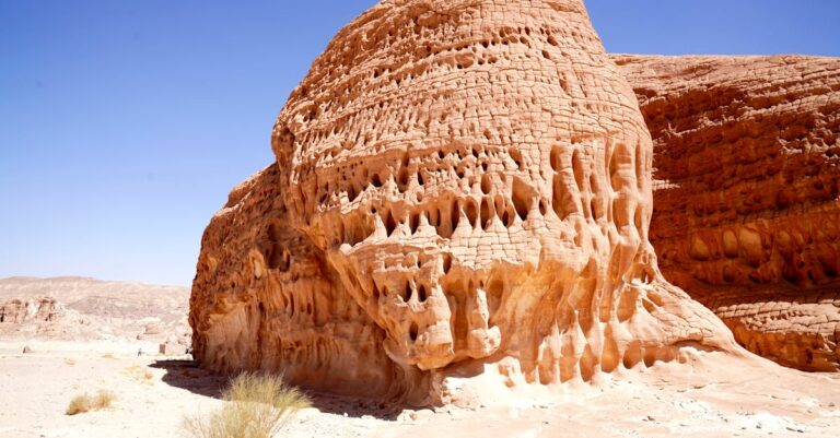 Illustration de RN : L'aggiornamento économique de Marine Le Pen à Jordan Bardella Jordan-Bardella-speaking