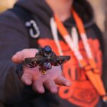 Kharkiv-drone-attack