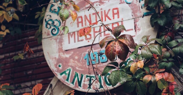 Illustration de Leroy Merlin : Fermeture de deux magasins à Paris en 2026 Leroy-Merlin-store