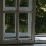 Nicolas-Sarkozy-book