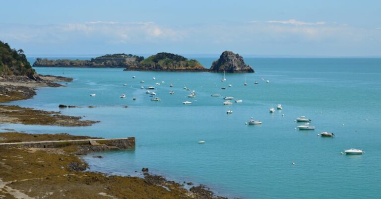 Thierry-Breton-European-Commissioner