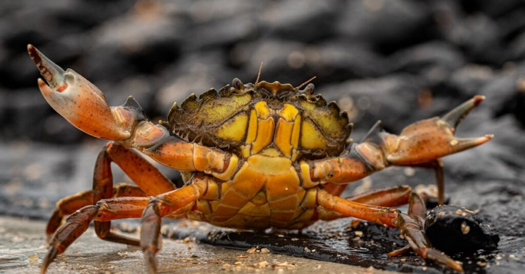 Illustration de Royaume-Uni : fin de l'accès automatique aux aides pour les demandeurs d'asile UK-asylum-seekers