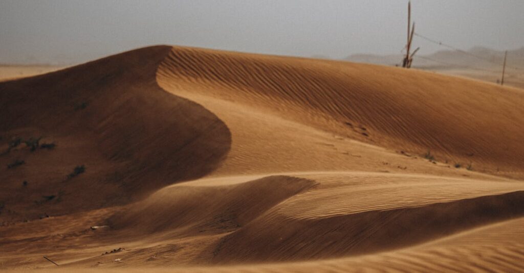 alain-jamet-portrait