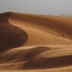 alain-jamet-portrait