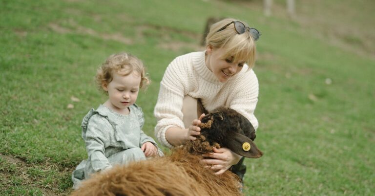 Illustration de Ferme squattée en Mayenne : le calvaire d'un couple d'agriculteurs farm-squatting-mayenne