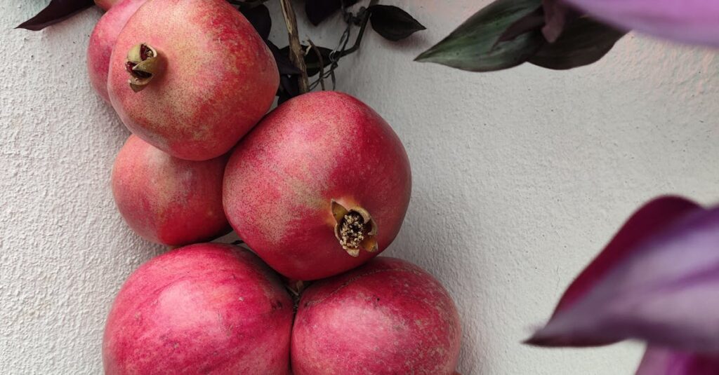 Illustration de Irak : Mohammed Al-Soudani revendique la victoire électorale iraq-elections