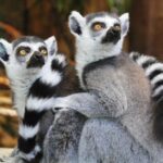 macron-randrianirina-madagascar