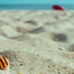 marine-le-pen-ukraine