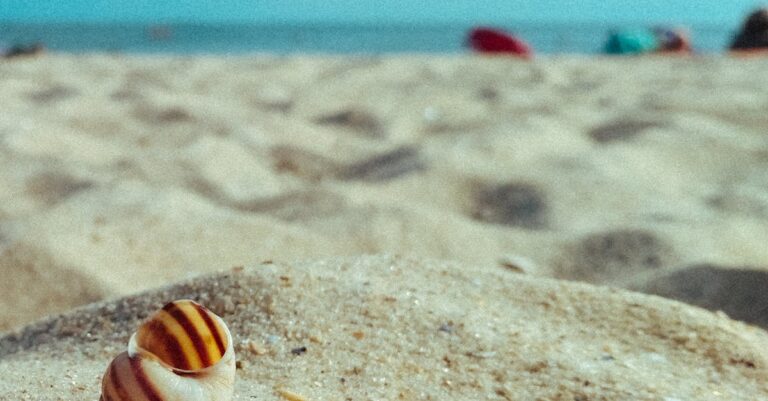 Illustration de Marine Le Pen supprime un tweet sur la fin de la guerre en Ukraine marine-le-pen-ukraine