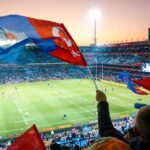 rugby-France-South-Africa-match