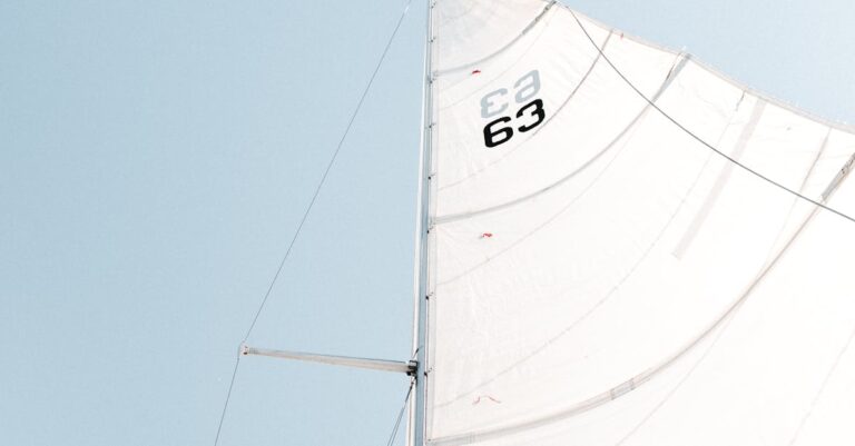 Illustration de Transat Café L'Or : Dorange et Davies, premières femmes à Fort-de-France sailing-race-finish-1