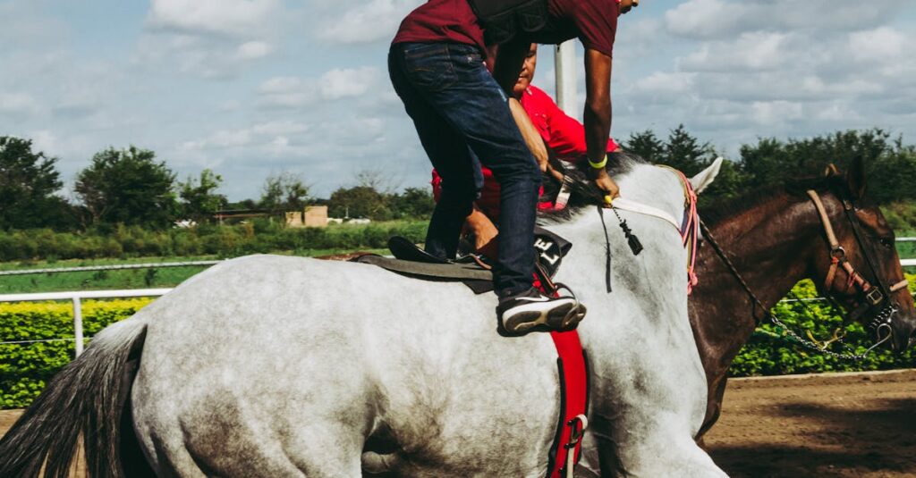 sports-betting-operator