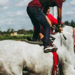 sports-betting-operator