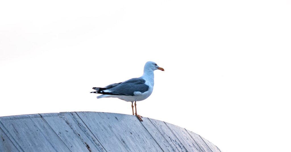 steel-industry-restructuring