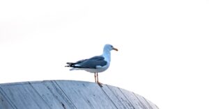 Illustration de Erasteel supprime 280 postes, l'Allier frappé durement steel-industry-restructuring