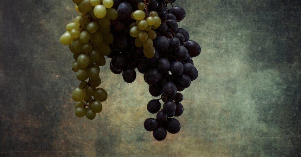 Illustration de Vignerons bordelais en colère : des actes de vandalisme revendiqués wine-vineyard-protest