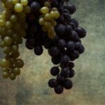 wine-vineyard-protest