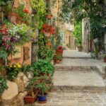 French-rural-elections