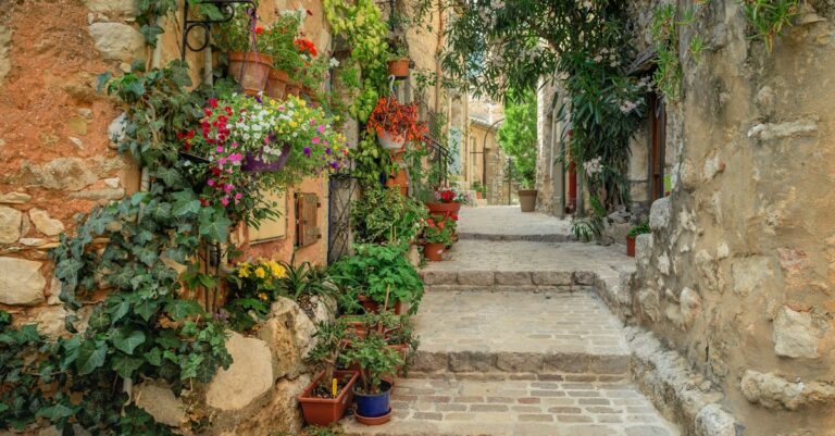 French-rural-elections