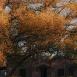 Hamas-7-October-attack