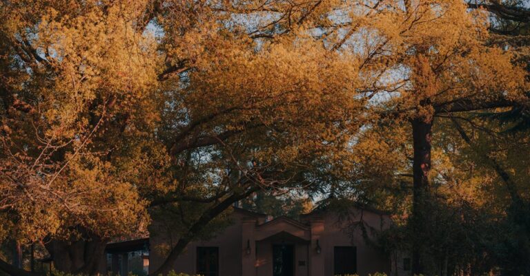 Illustration de Amnesty accuse le Hamas de crimes contre l'humanité Hamas-7-October-attack